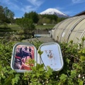 GWはワフ山中湖へ