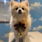 ペットショップワンラブ ドンキホーテ西宮店のスタッフブログ