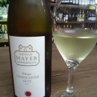 ���沤�ϥ������ȥꥢ�磻�����֥��ߥ��奿�������åġפ�Ķ����Ū���٤β���