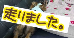 飲むヤツ走るヤツ。