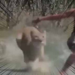 【閲覧注意】 でっかいネコが襲ってきた。男が全力で逃げる。うわぁあぁ！！ → こうなった…