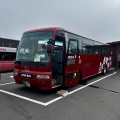 【モデルコース】利尻島・礼文島2泊3日｜神戸発・飛行機＆フェリーで巡る実体験ルート