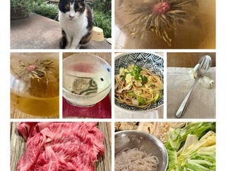 ５月３日のいろいろ　20260503