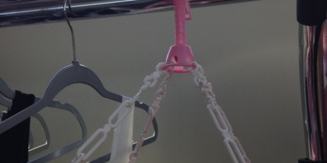 ハワイネコ ブログ ハワイ留学準備の日記ブログ