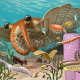 古生代の生き物ってスゲーワクワクしておもしろいよな！！