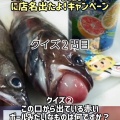 鉄腕ダッシュにスターダイブ店名が出たよ！キャンペーン開始