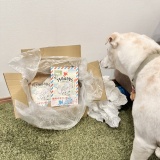 ㊗️本日発売🐶