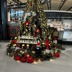 千葉でがんばる社労士ＣＦＰの奮戦記