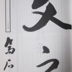 善補楽工房保存箱