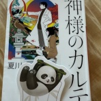 広東省でゴルフ&ヨガ&猫