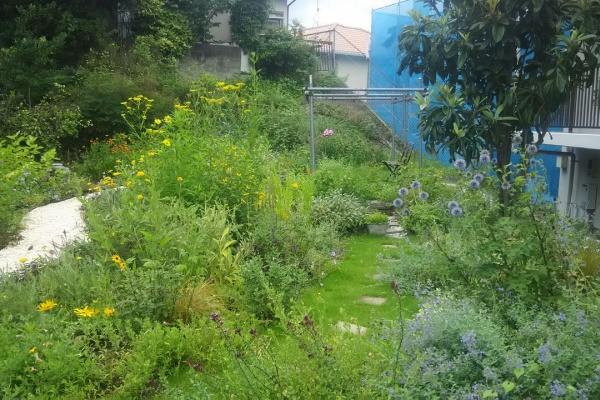 ようこそ 私の午後時間 実家庭 うちの庭