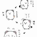 『消えた湿布』の画像