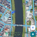 塩入橋から下流の樋門とアオサギの幼鳥？