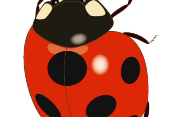 幼稚園児のイラスト 絵カード テントウムシのイラスト