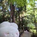 げんき！