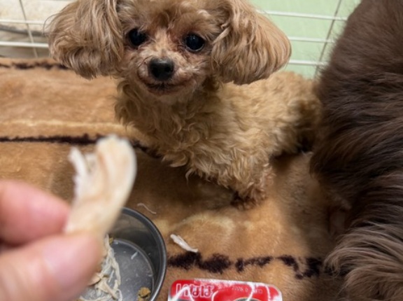 今夜も遅くまで皆様ありがとうございます🙏💓🙏