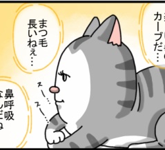 猫ってぼーっとしながらつい観察しちゃう