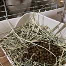 色んな意味で目が離せません？