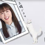 テレビが好きだ……ドラマが好きだ、本が好きで、スポーツも好きだ！