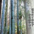 原爆投下から81年目
