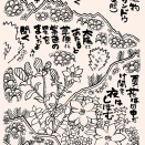 山の伝説神話「高山植物・ミヤマリンドウ」