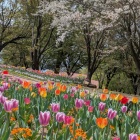 『2025年度もよろしくお願いします😊』の画像