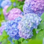 菊野台・骨盤調整とやさしいヨガの会
