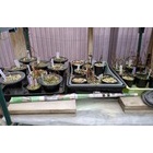 �إ����祦���ΰ��٤�٤β���