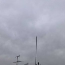 桜の季節が始まりました！