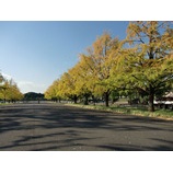 ������ݥ���󥰼��٤β���