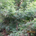 jinnsei-okinaのblog