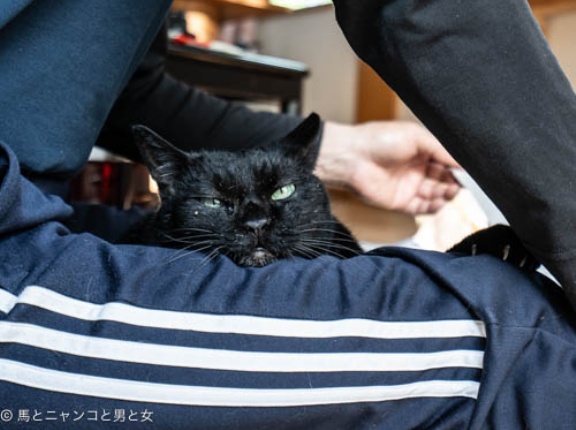 寂しくもある