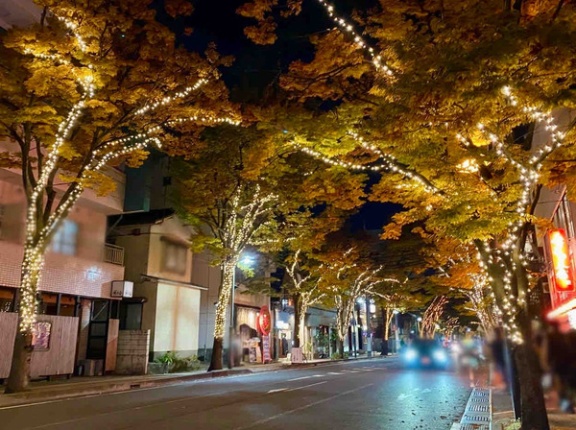 秋冬の風物詩！初日には点灯式も！けやき通りで『2025NIIGATA光のページェント』開催！11月14日～2026年1月31日。