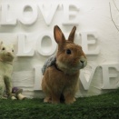 3月23日のグルーミングフォト