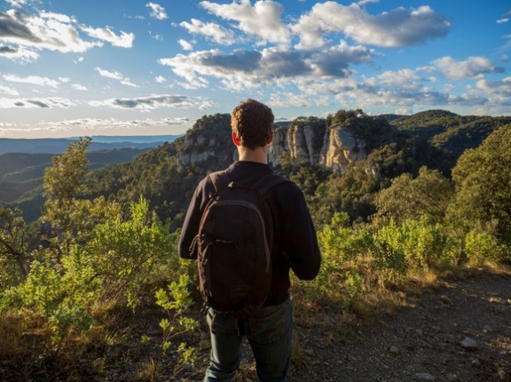 ハッタショって登山で道に迷っても「歩いてきた道を戻る」じゃなくて山頂を目指して突き進んでいくんだなwww
