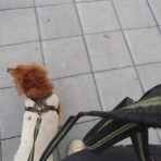 ダックスやからダクやねん