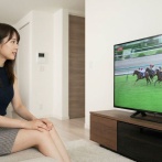 【結果】競馬予想をGeminiにやらせたら‥‥