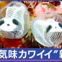 なんかカワイイと話題の生物「ガイコツパンダホヤ」実は新種だった