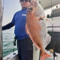 9月12日の釣果報告🐟