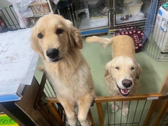 お預かりについて、、、