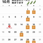 ボーシュマン日記