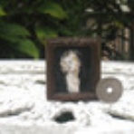 ミニチュア絵画への、すすめ