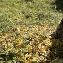 一気に気温が下がるので防寒着を貸与頂く♪