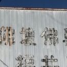 福井市四ツ居・米松の探索