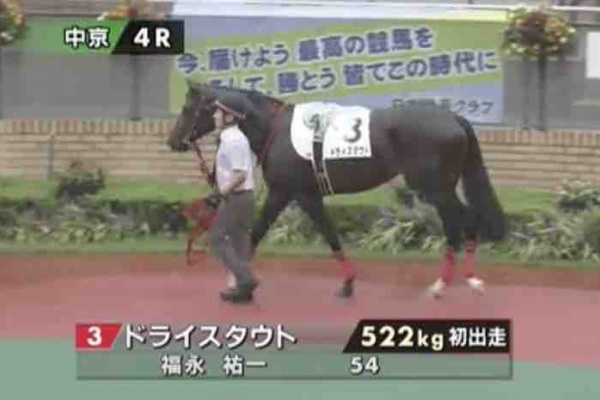新入一口馬主の活動履歴 21