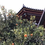 学びは遊び、遊びは学び　～和泉学習研究所公式ブログ～