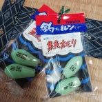 肺癌と闘いつつさまよう釣人