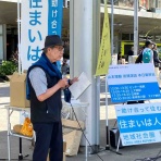 およげ！しろぶたくん