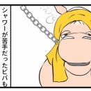 ウマコとシャワー