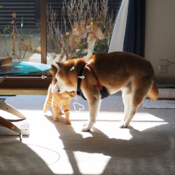 踏ん張る貫太兄さん♪